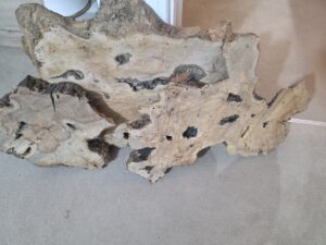 Raw olive slabs from Greece